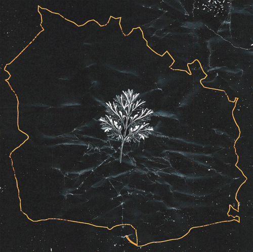 In Twilight's Embrace : Lawa